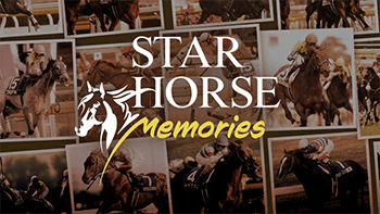 Star Horese Memories