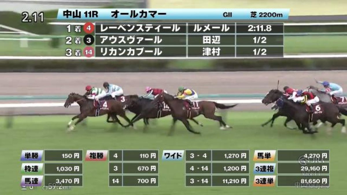 レア　かみのやま競馬マッチ　2つ シュパーガ Shpaga 牡 5歳 ※地方競馬 在籍 | サラブレッド