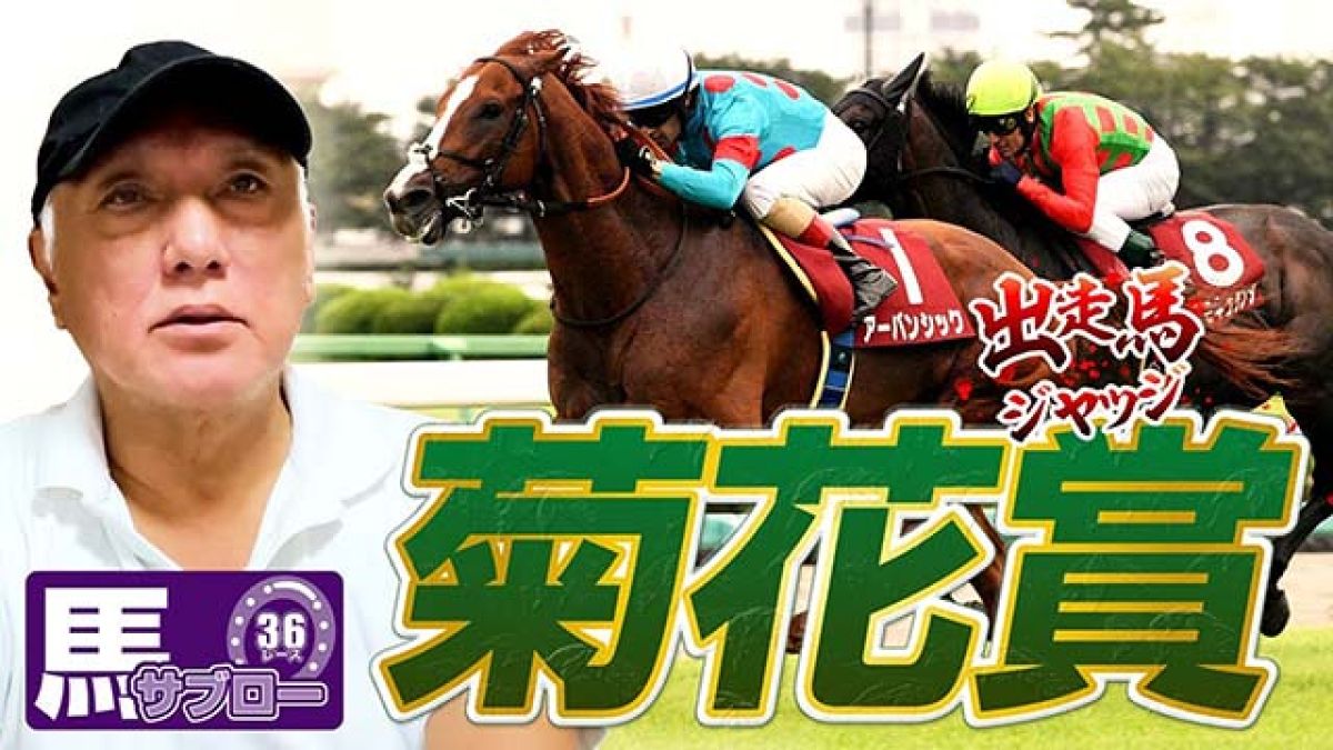 菊花賞2024】出走馬ジャッジ/弥永明郎 | 競馬動画 - netkeiba
