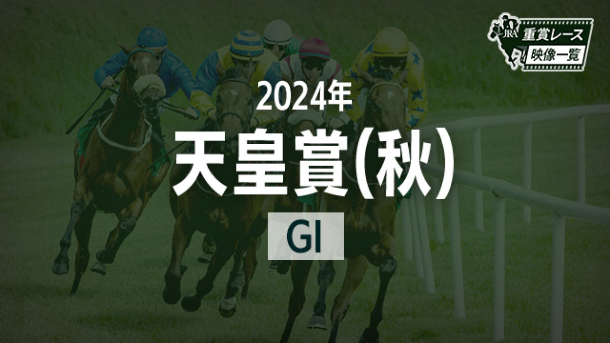 ドウデュース 2024 天皇賞秋 出走馬ミニゼッケン 泊っ