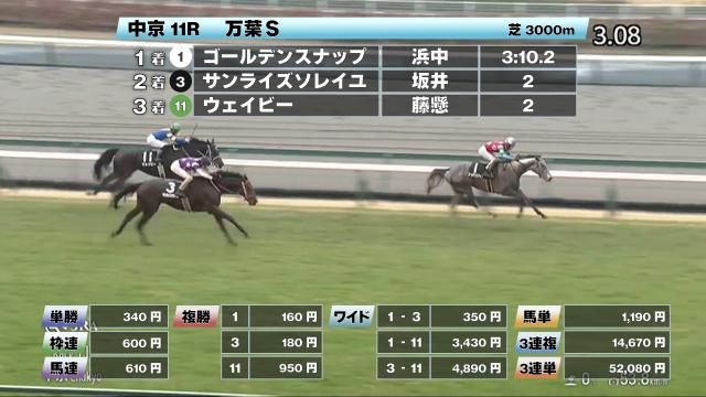シンハライト 新馬戦〜ローズステークス全5戦現地単勝馬券