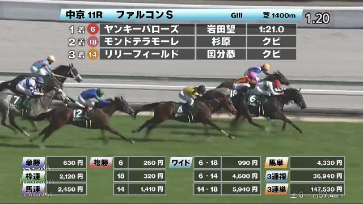 中山競馬場　ドウデュース　コントレイル　ファイル ミックスセール2024】父コントレイルのドウデュースの半弟に2億