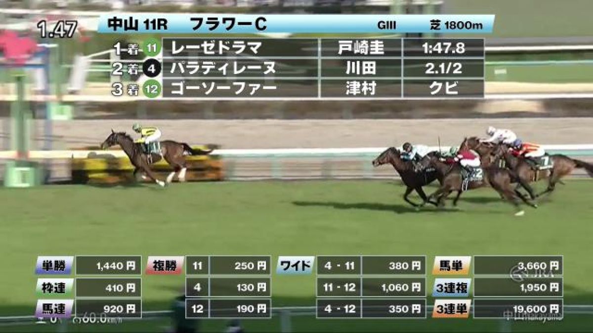 JRA　競馬　馬写真（額入り）冬花 桜花賞 - Wikipedia