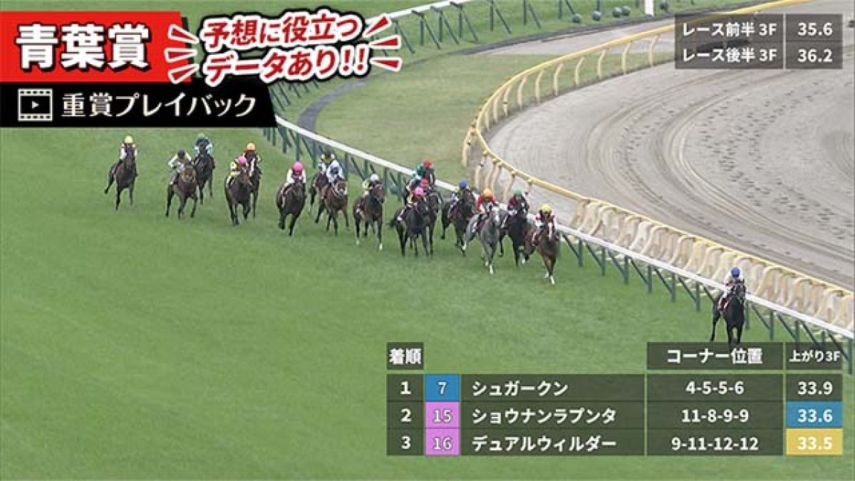 青葉賞 2025】過去5年のレース映像・傾向 | 競馬動画 - netkeiba