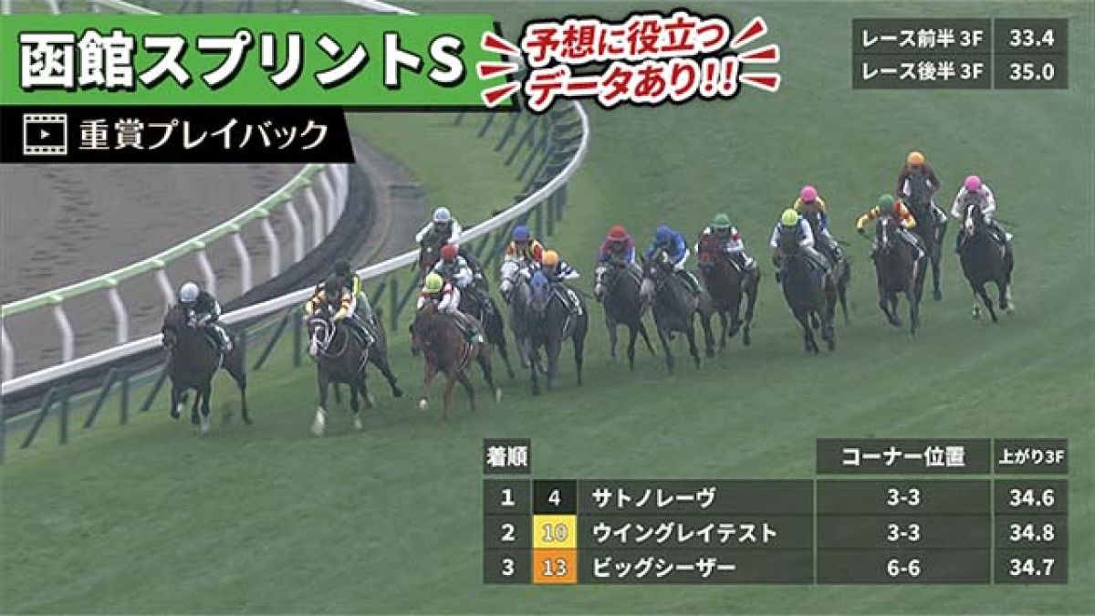 2025年 函館競馬場 函館スプリントS レプリカゼッケン レイべリング 第1回函館競馬後半(2025年)
