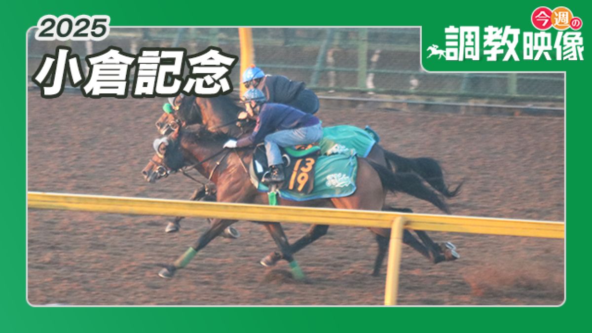 【PSA10】　BCF2019　タイトルカップ　敢闘賞　レン PSA10】 BCF2019 タイトルカップ 敢闘賞 レン - メルカリ
