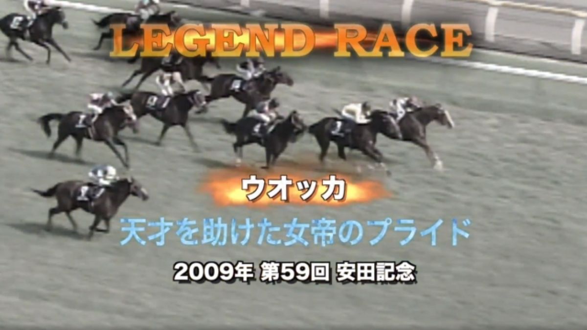 ダイワスカーレット2008年 有馬記念ウオッカ2009年安田記念 記念プレート ダイワスカーレット2008年 有馬記念ウオッカ2009年安田記念 記念