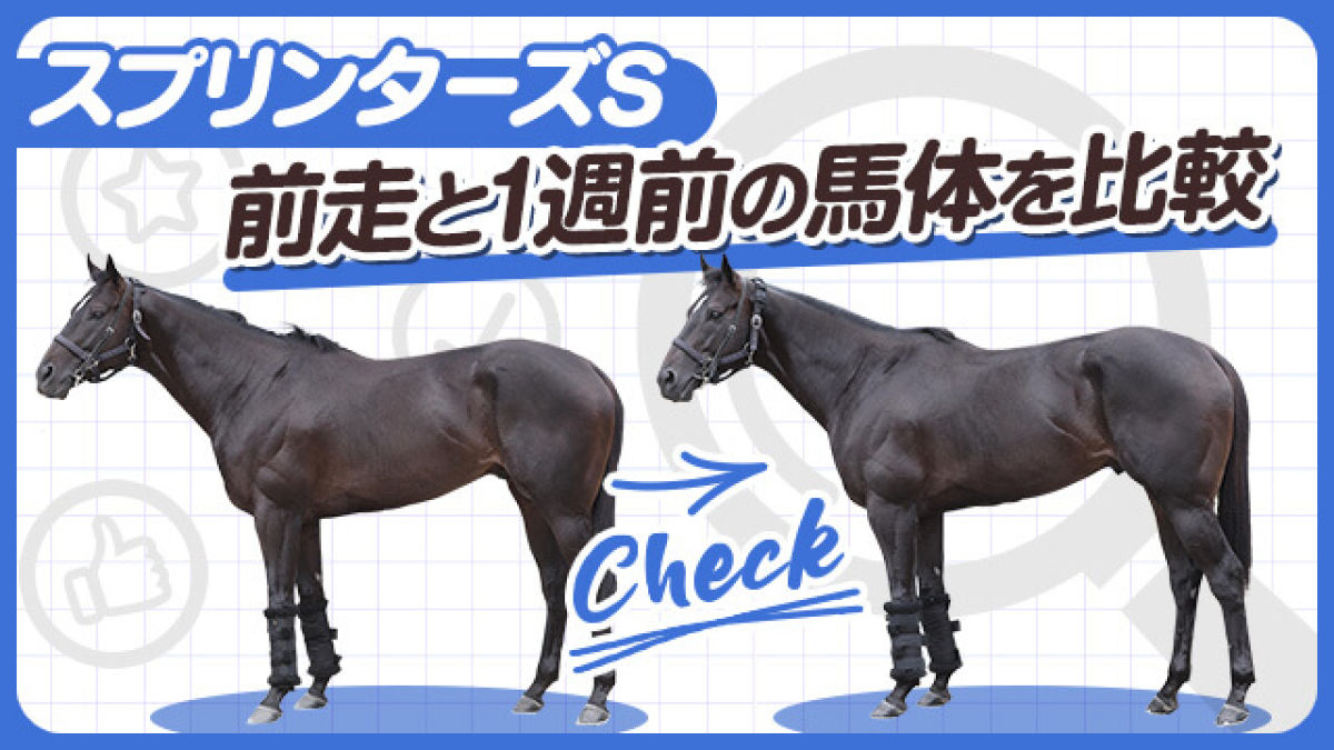 【スプリンターズS】アグリやピクシーナイトら有力馬をピックアップ！前走と1週前の馬体を比較
