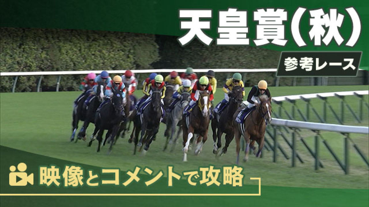 な³様専用☆実際に使用!JRA 競馬バナー天皇賞秋 ポタジェレッド