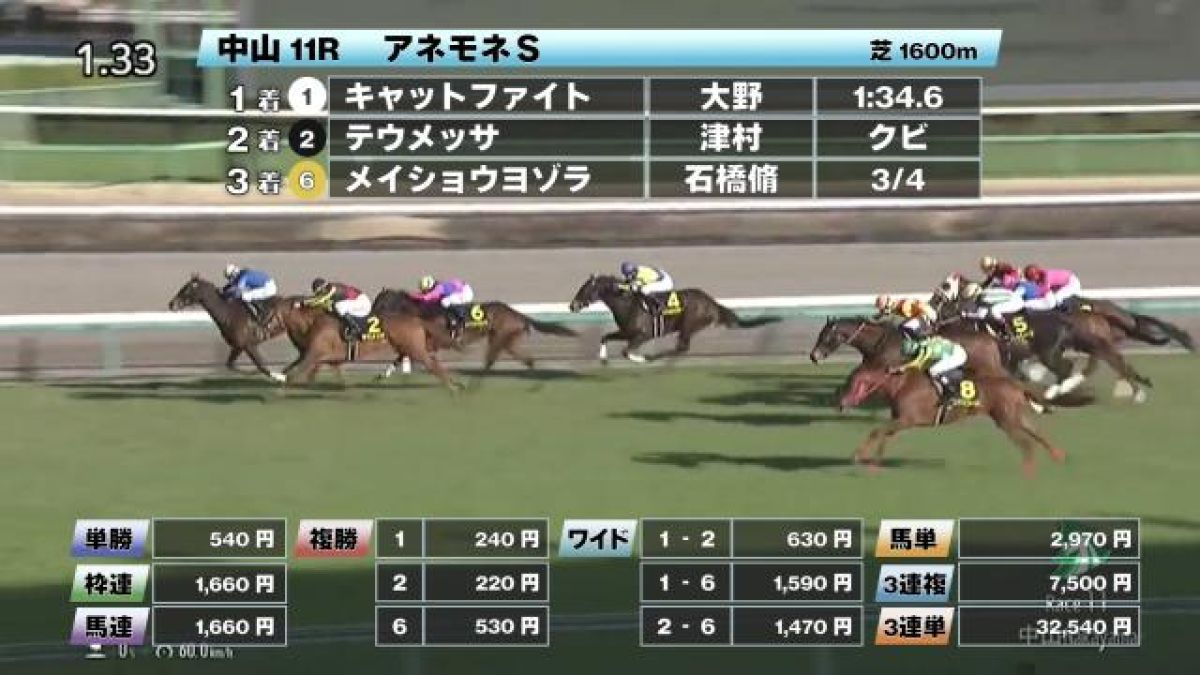 アネモネステークス(L) 結果・払戻 | 2024年3月10日 中山11R