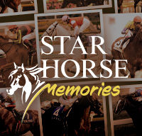 STAR HORSE Memories